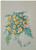 Bouquet de roses